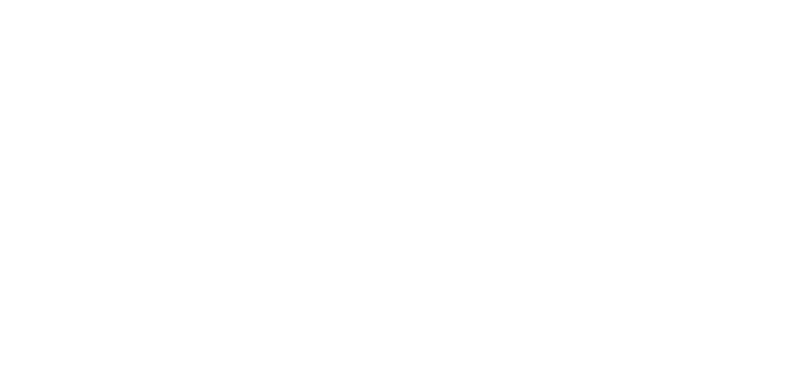 logo experience white