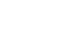 logo vip white